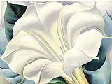 White Canvas Paintings - White Flower